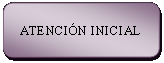 Rect�ngulo: esquinas redondeadas: ATENCI�N INICIAL